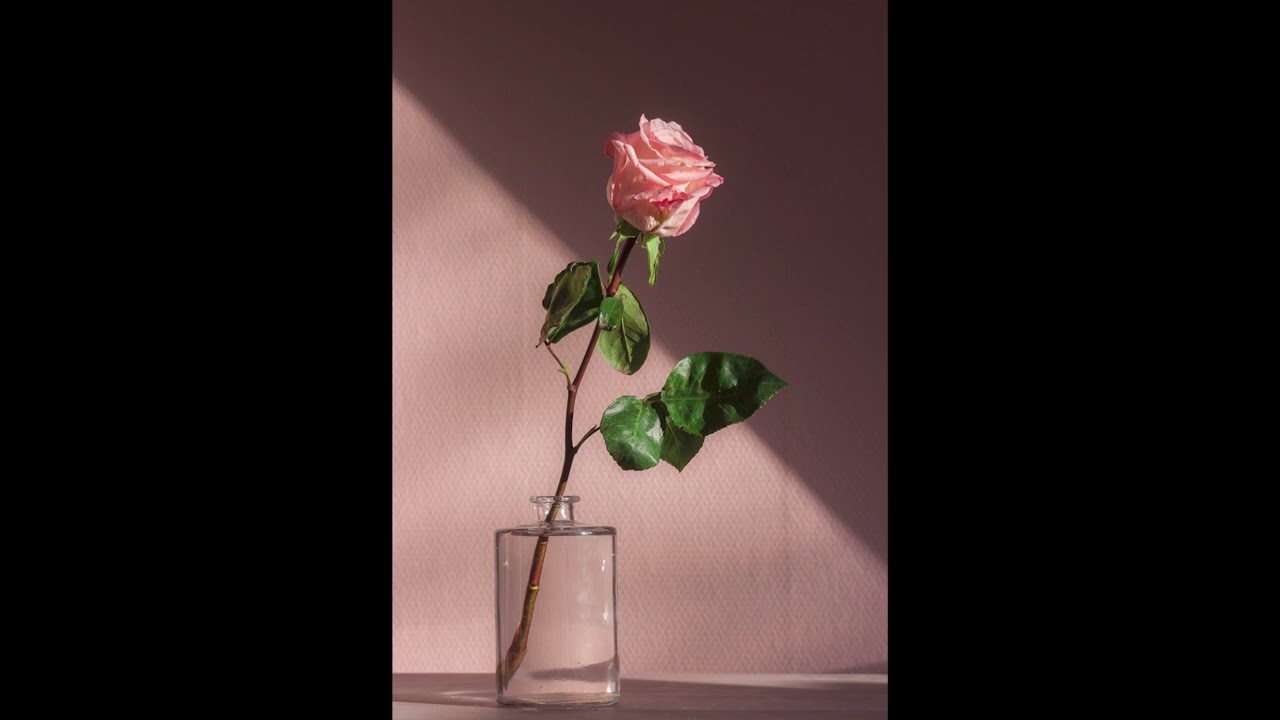 sold chill smooth guitar beat - moments