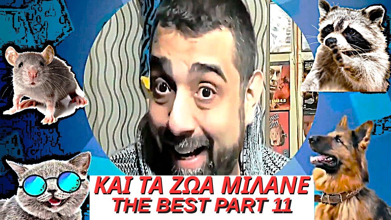 ΚΑΙ ΤΑ ΖΩΑ ΜΙΛΑΝΕ ❤️ THE BEST PART 11