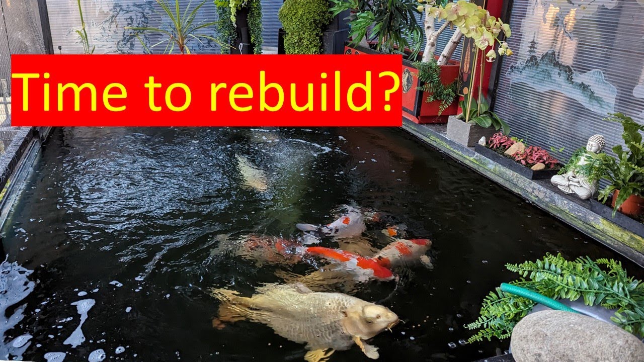 EazyPod Problems - Is it time to rebuild?