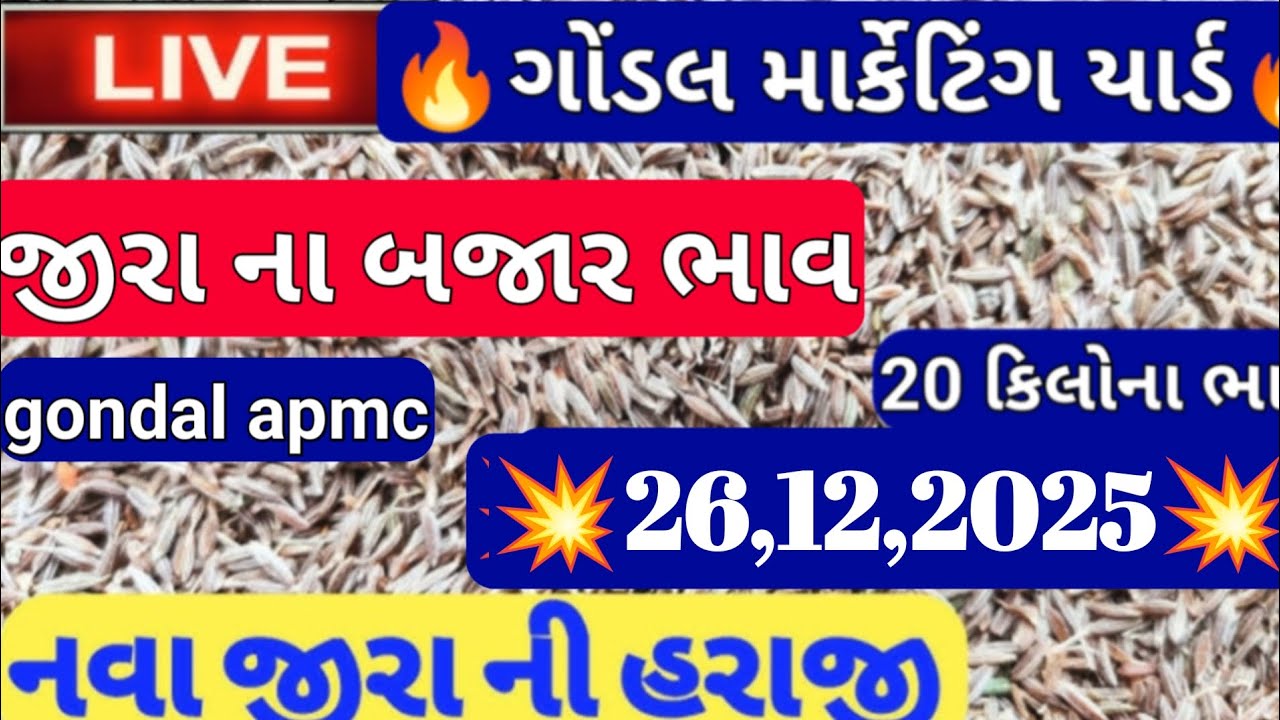 જીરા ના બજાર ભાવ / આજના જીરાના બજાર ભાવ / ગોંડલ જીરાના બજાર ભાવ / 26,12,2025