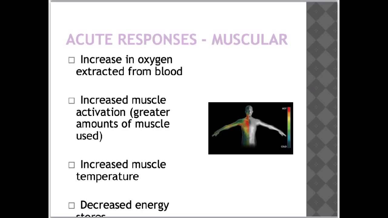 Physiological responses to exercise