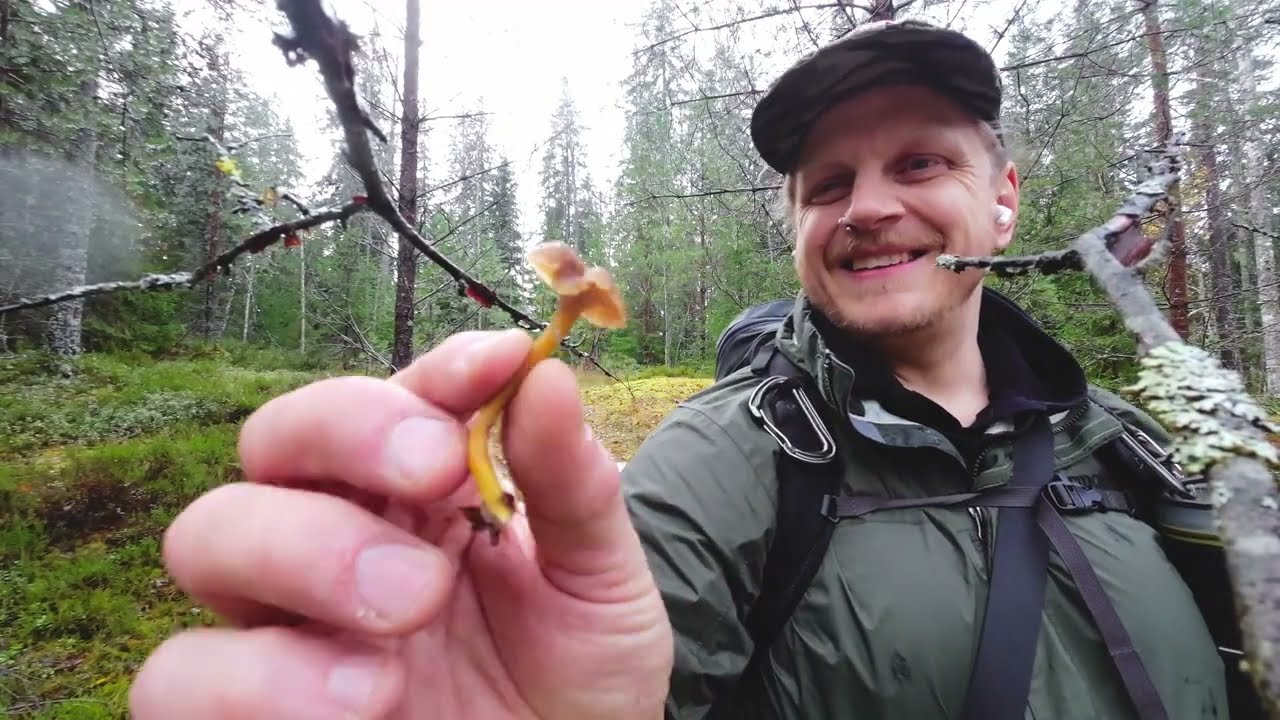 Yötä Nuuksiossa Lokakuussa 2025