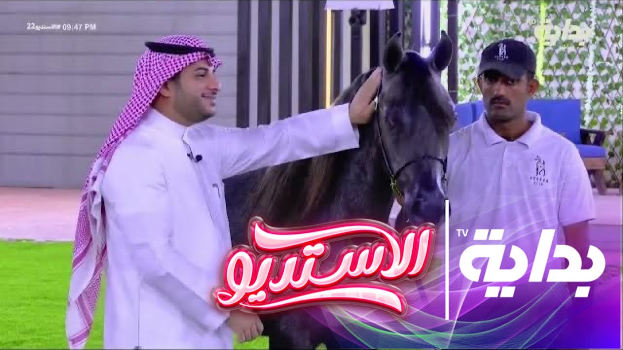 كيف يتم تقييم  الخيل في بطولات الجمال ؟ أحمد التويجري  | #الاستديو22