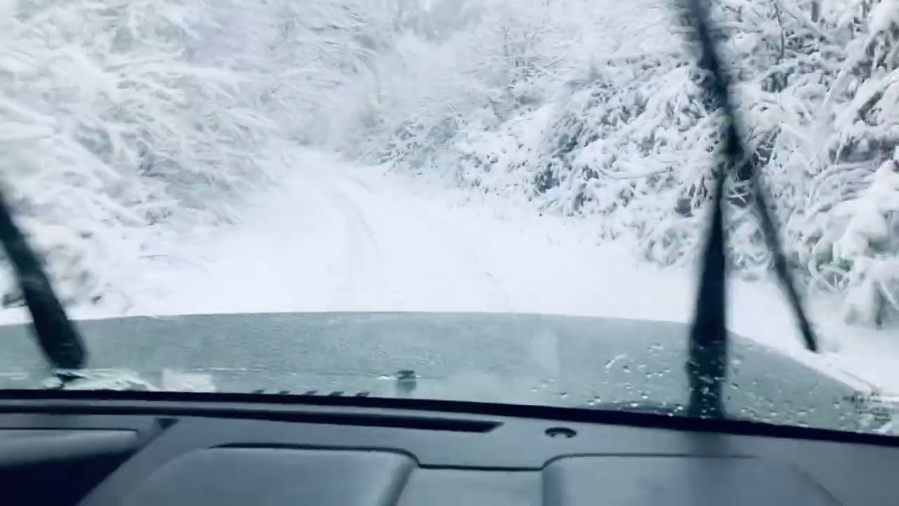 Suzuki neige