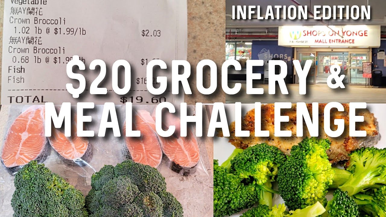 $20 Grocery & Meal Challenge in Toronto | Grocery Budget Challenge #budgetlife