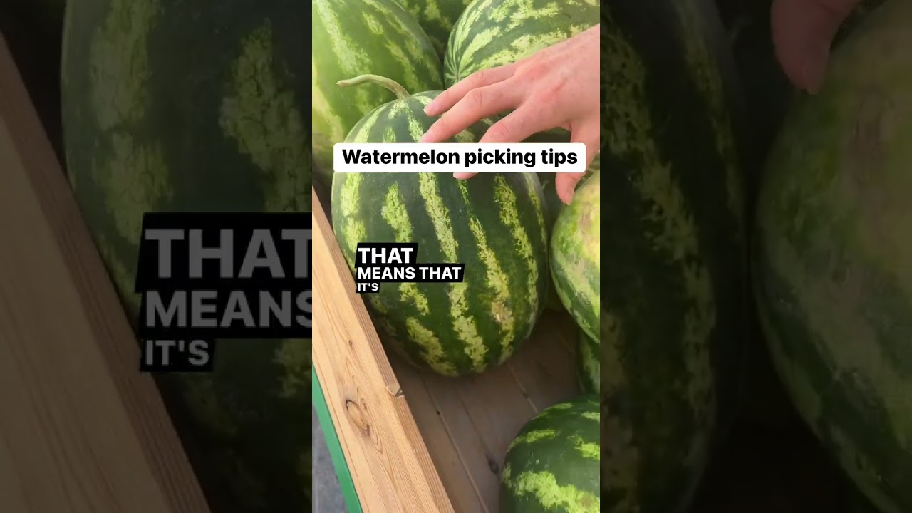 That&rsquo;s pretty helpful ❤️ 🍉 #watermelon #fruits #yummy #helpfultips