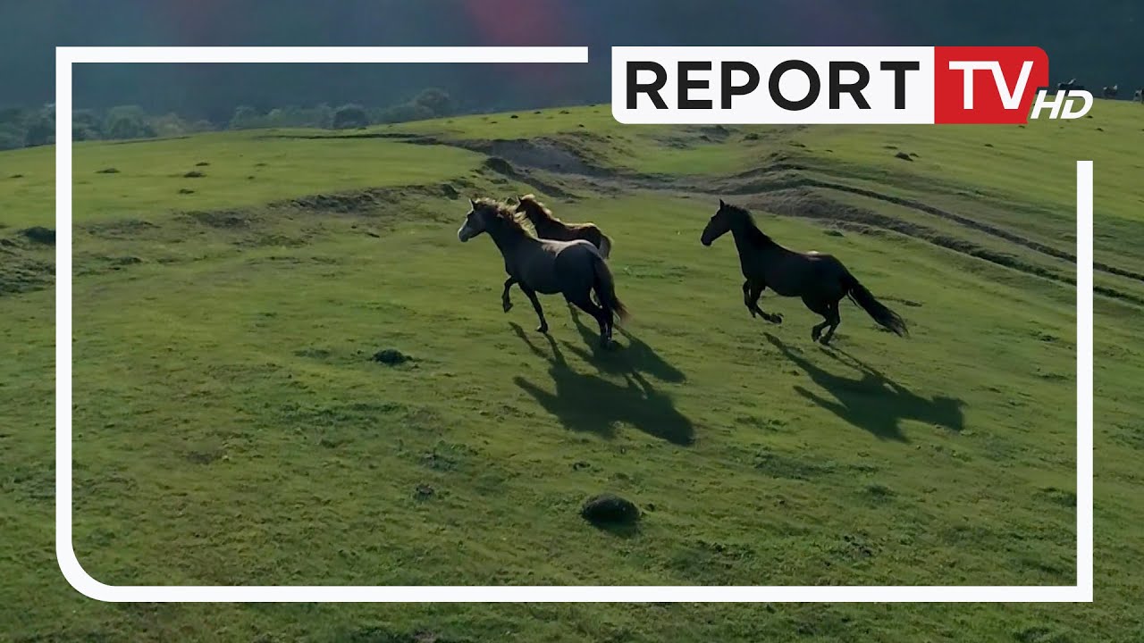 Jo të gjithë e kanë parë, perlat e fshehura në Kukësin ‘e harruar’ nga harta e turizmit!