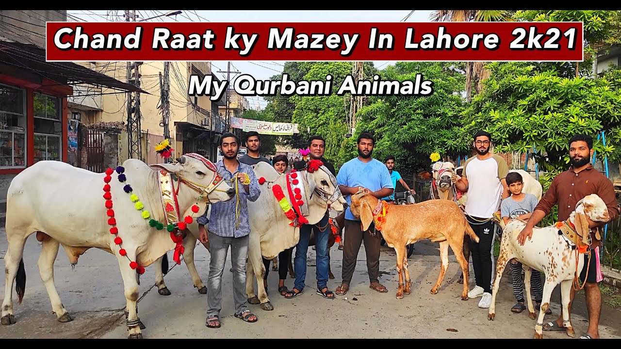 Bakra Eid Ki Chand Rat K Mazey in Lahore 2021| MY Qurbani Animals Bakra Eid 2021| Cattle Of Pakistan