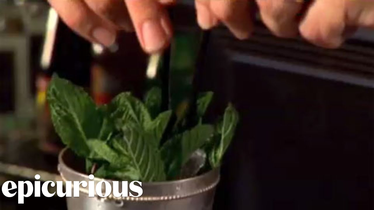 How to Make a Mint Julep Cocktail