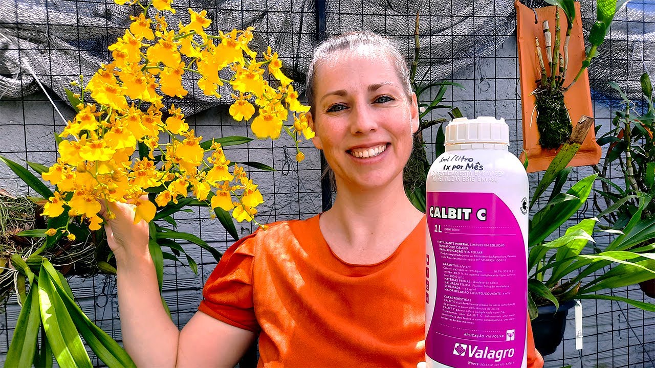 O CÁLCIO é um FUNGICIDA NATURAL para as orquídeas