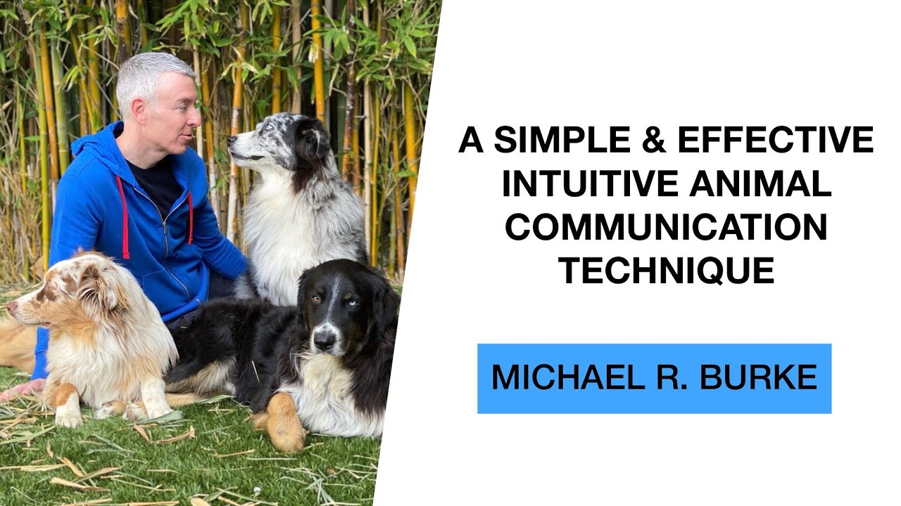 A Simple and Effective Intuitive Animal Communication Technique