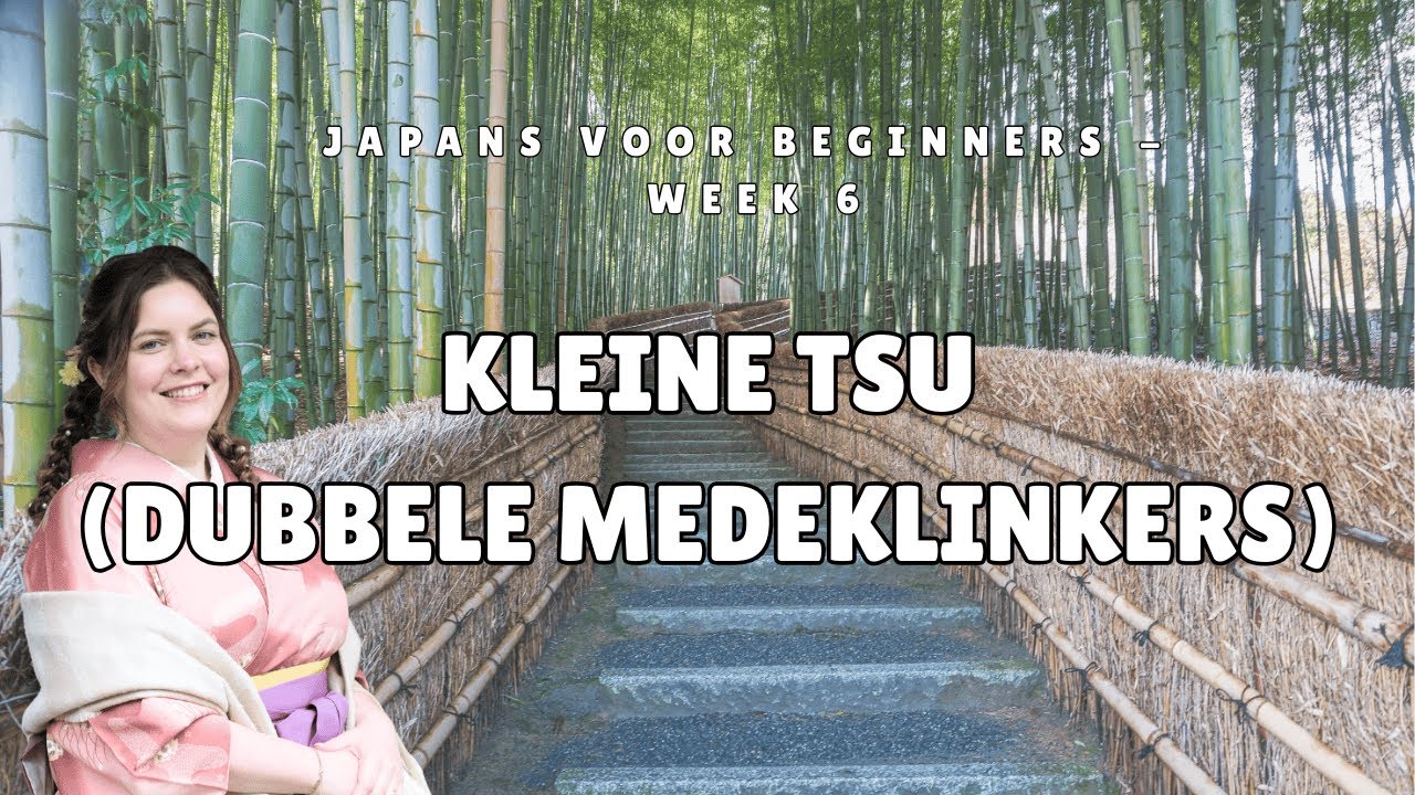 Japans voor Beginners: De Kleine Tsu (っ) Uitleg