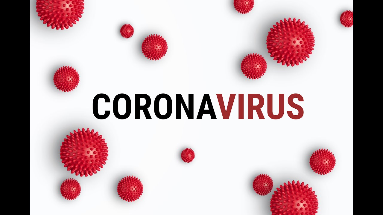 What is the Novel Coronavirus?