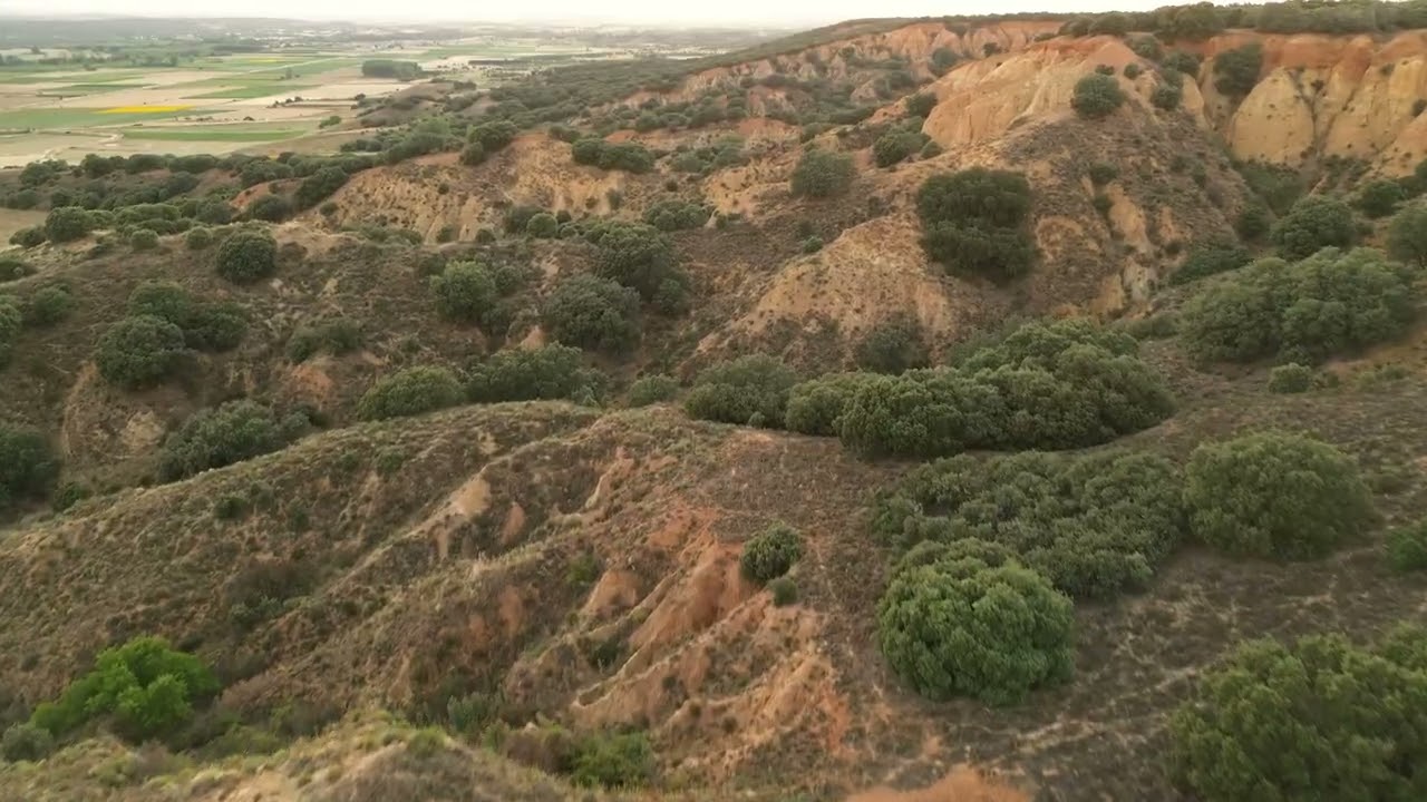 TORCAS DE BARRIENTOS EN LEON (ESPAÑA)