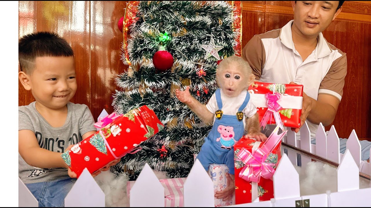 Warm Christmas Moments &mdash; Baby Monkey Lulu Family Makes Gift Boxes