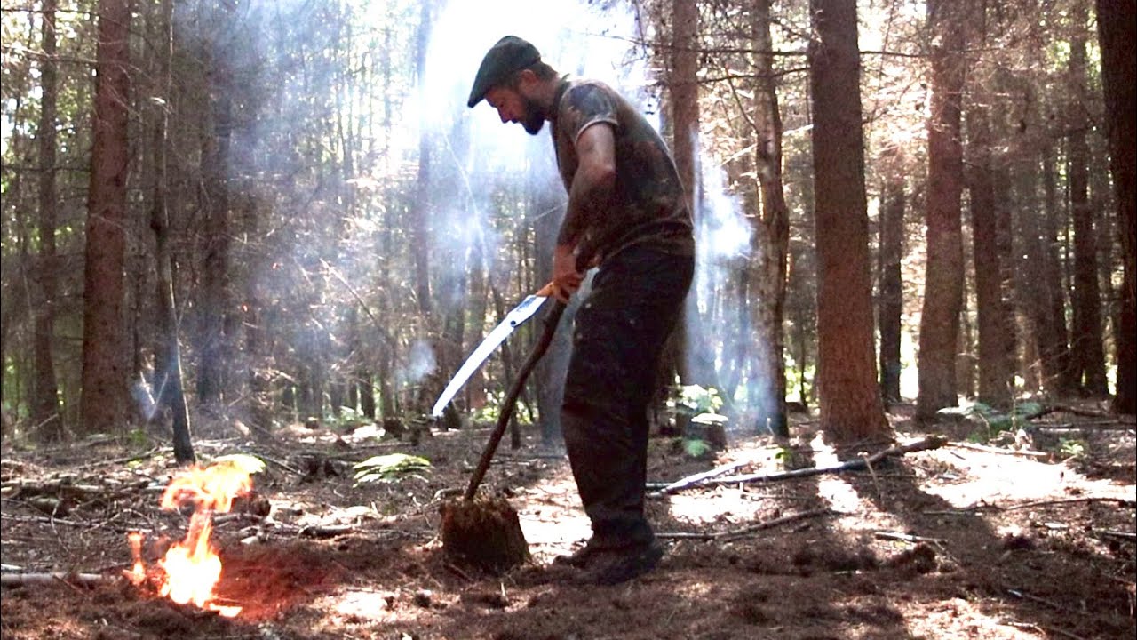 Завтрак в лесу: собираем грибы-зонтики