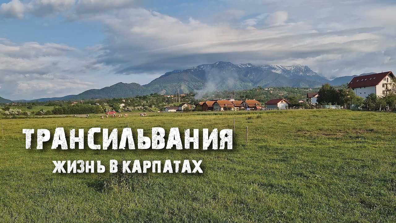 Бран, Брашов: как живут румыны и как выглядит Румыния?