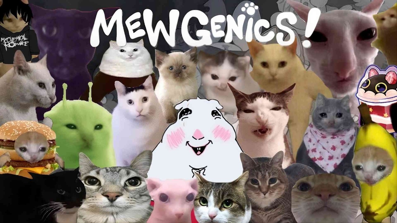 La eugenesia gatuna es increíblemente fuerte... Mewgenics