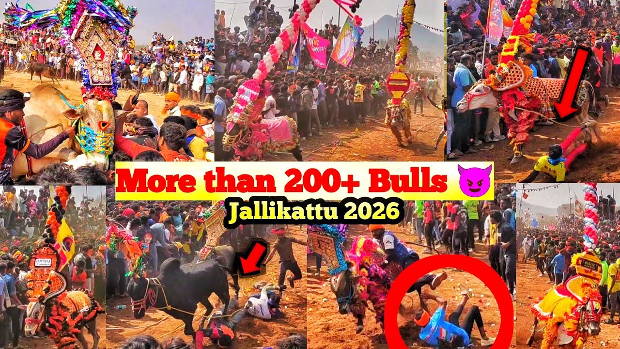 U Puram Jallikattu ஜல்லிக்கட்டு 🔥😈 2025 | U Puram 