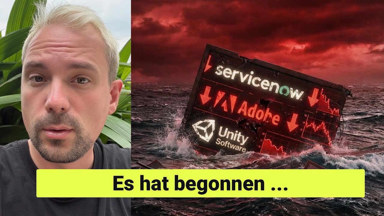 Kein normaler Software-Aktien-Crash | N&auml;chste Phase beginnt
