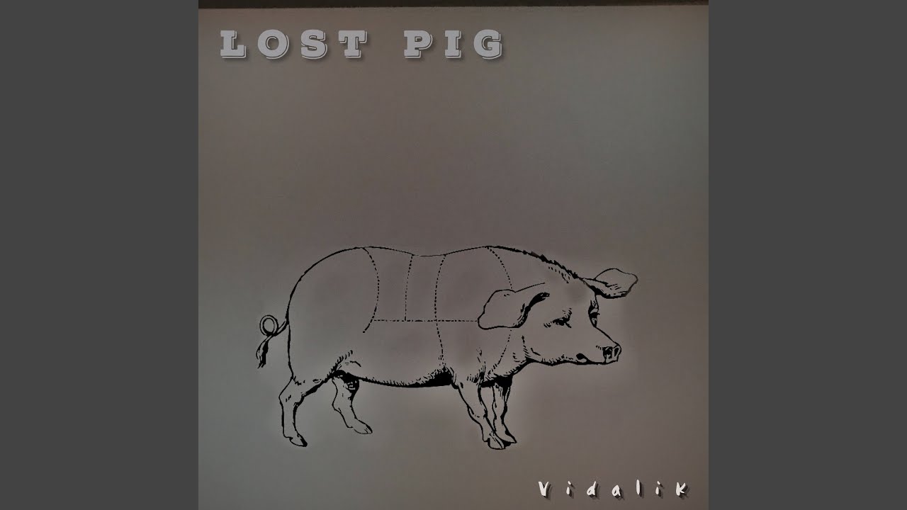 Lost Pig (Vidalik Re-Remix)