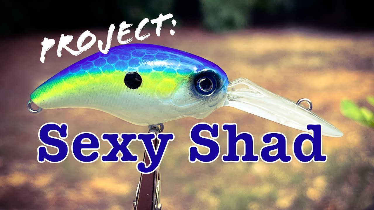Lure Painting - You can do this SIMPLE sexy shad design on a crankbait