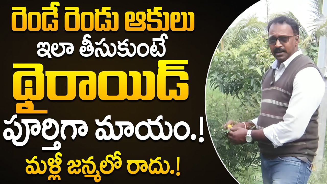 రెండే రెండు ఆకులుఇలా తీసుకుంటే థైరాయిడ్ పూర్తిగా మాయం.! | Thyroid | Chaitantv Doctors