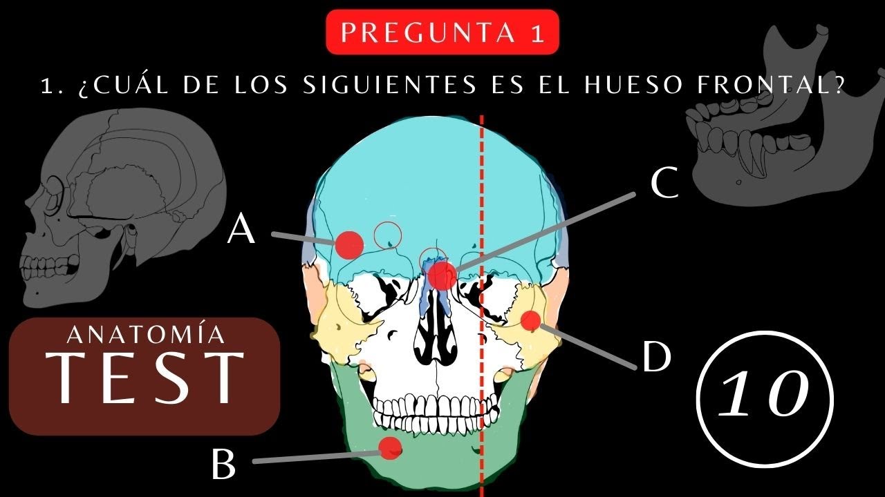 ¿Cuánto Sabes de 