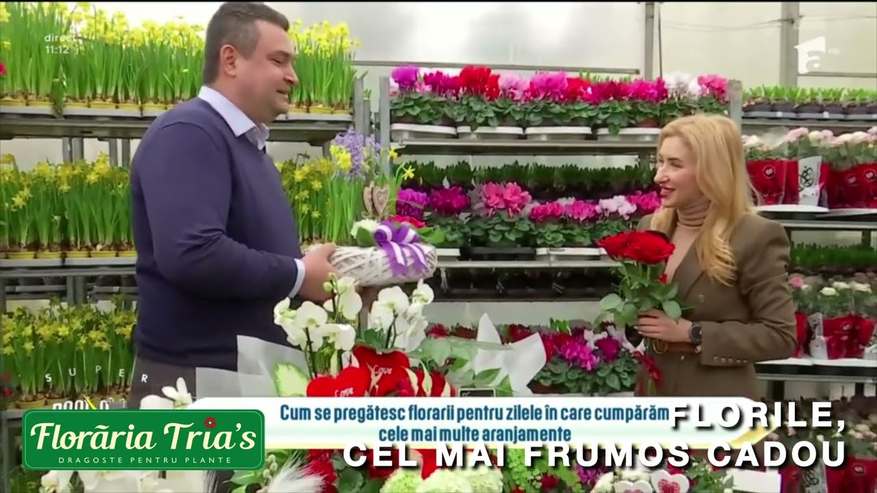 Floraria Trias - Florile, cel mai frumos cadou.