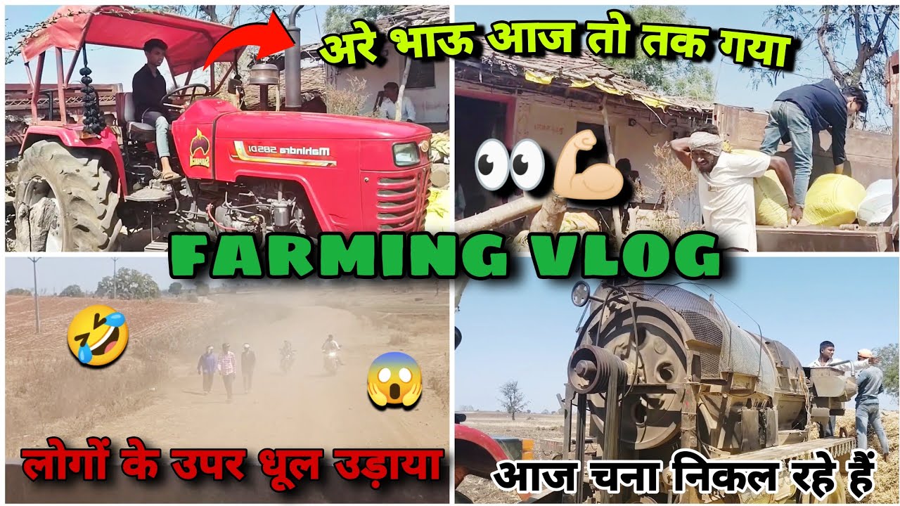 ट्रैक्टर से लोगों के ऊपर धूल उड़ाया राज ने। Farming vlog। आज चना निकल रहे हैं 