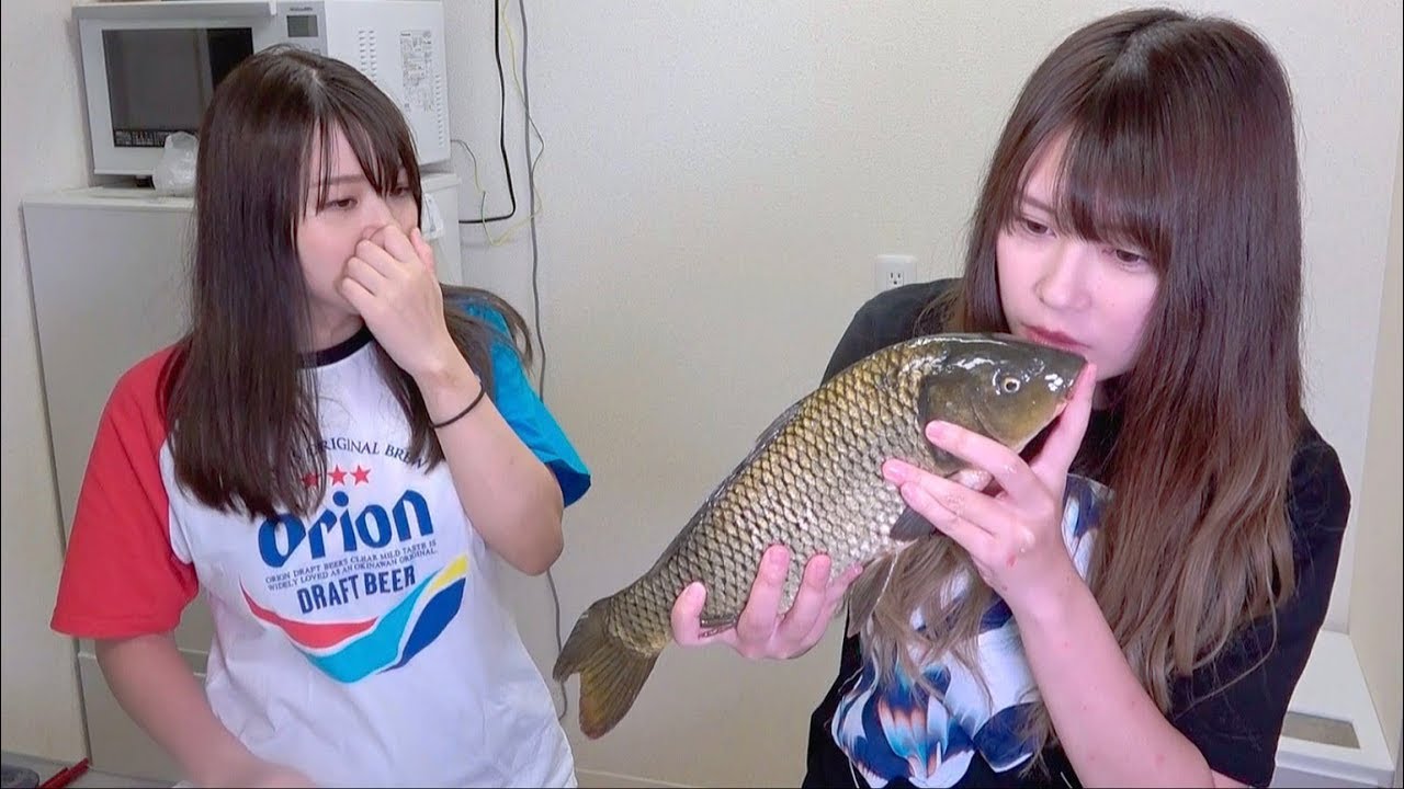 ひと夏のコイ、味わい尽くす。じゅえりーと