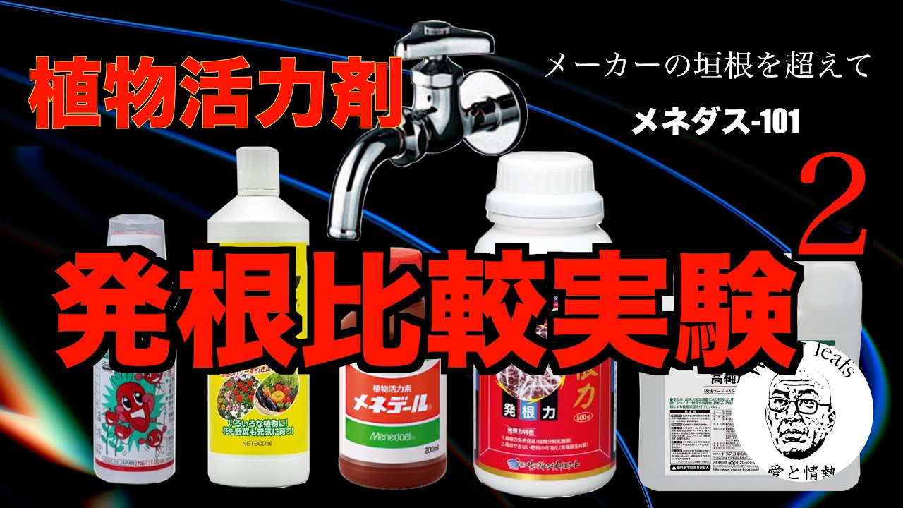 【活力剤比較実験２】今回、第二弾では新しい資材に加え要望の多かった水道水も実験参戦です！