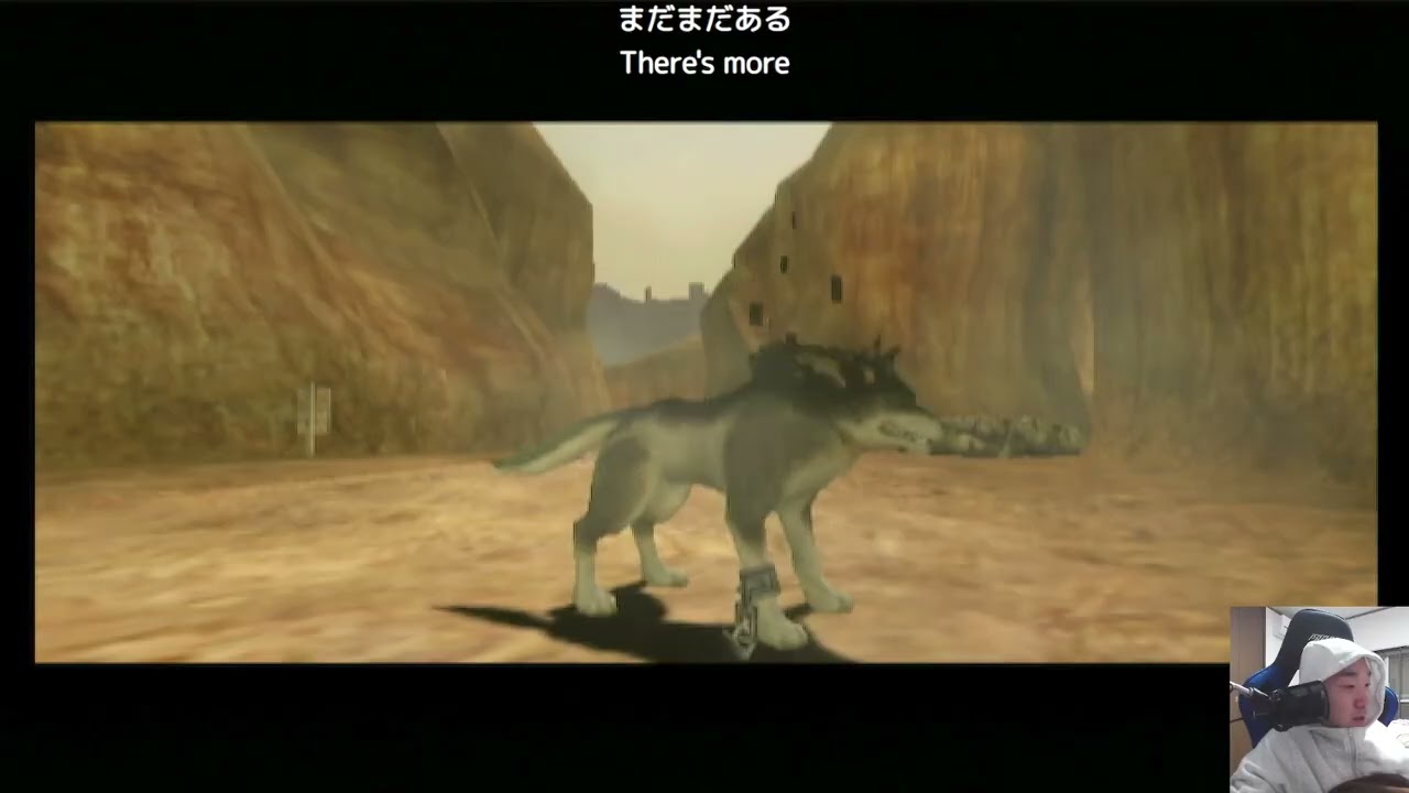 【2026/02/05】クリア目指して【ゼルダの伝説 トワイライトプリンセス】#12