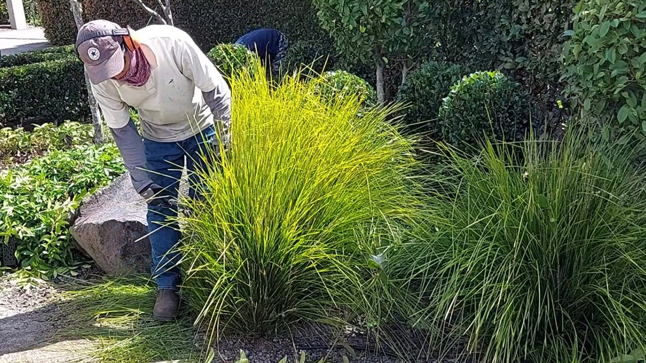 A Large Garden with a Beautiful transformation | Watch how it's done!