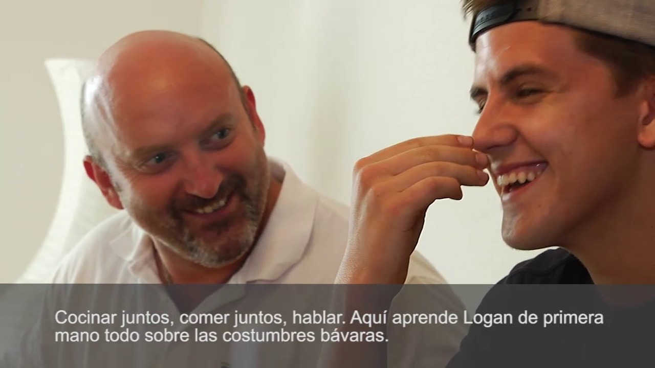 Formaci&oacute;n profesional como electricista industrial, Alemania