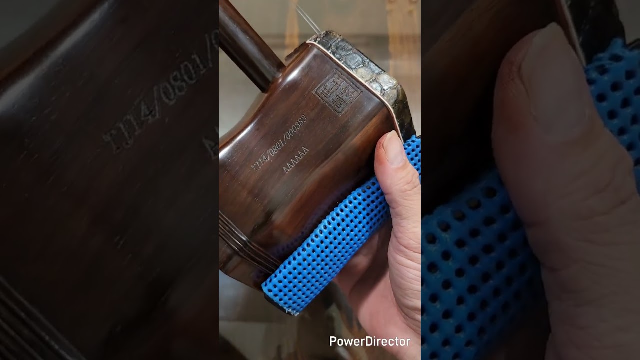俞撰 二胡世界   聲音尖銳不好聽 但是琴皮沒壞 沒塌  到底怎麼回事？不換皮！來個全琴大整理還有救嗎？黃軍諺