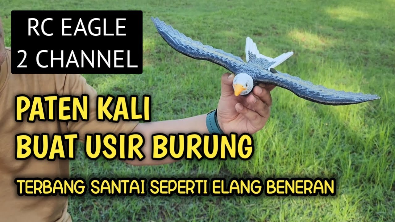 Review RC Burung Elang 2 Channel Murah Mantap