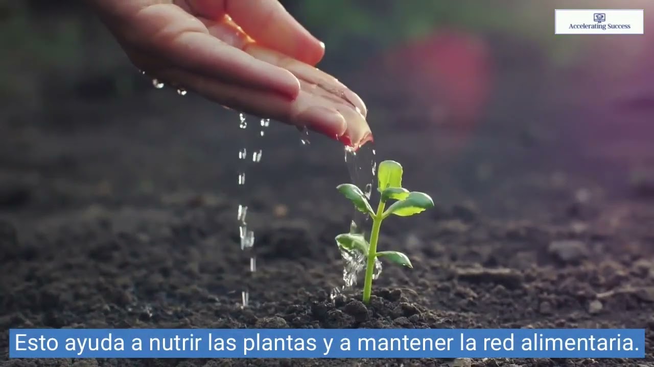 Un Descomponedores (Spanish)