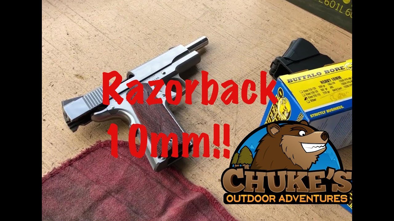 Dan Wesson 10mm Razorback: A 1911 for Alaska Bear Protection