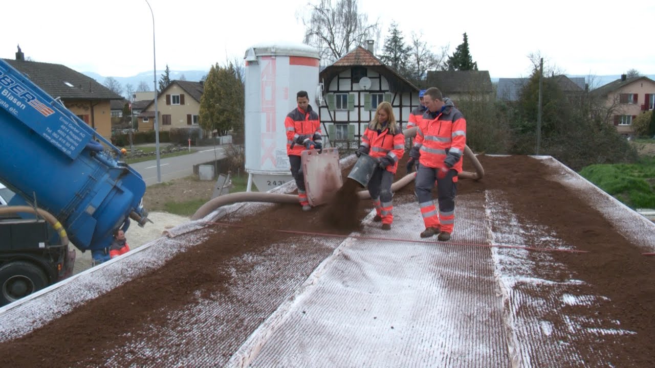 Sara machts: Dachbegrünung