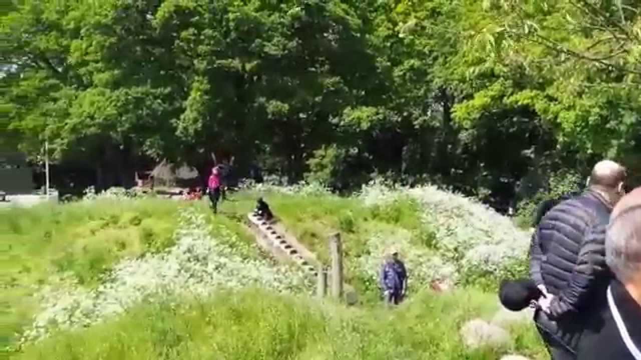 3. klasses performance i Valbyparken - Del 1