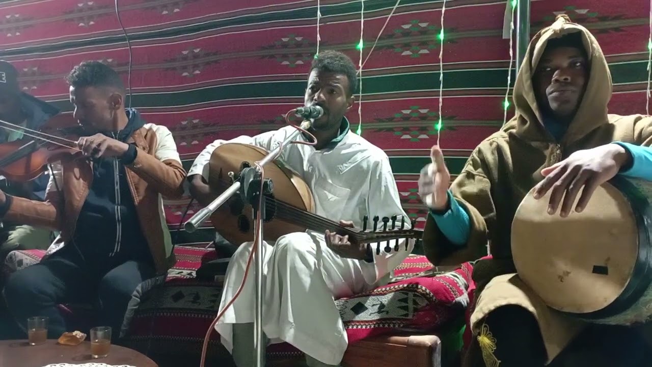 شحال يكذب🤥 غزالي🦌 الغالي في كلامو🗣🎼🎻🎧 مع الفنان احمد خيي 👏👏
