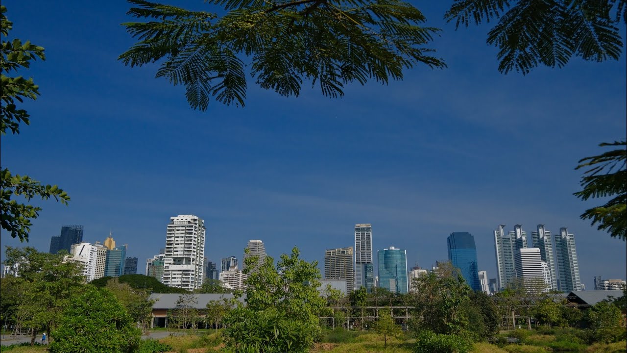 Benjakitti Forest Park & Sky Walk, Dots Coffee & Siam Discovery window-shopping 