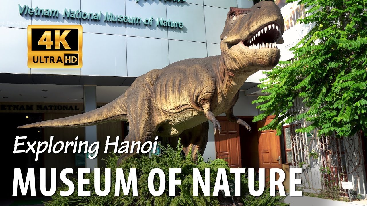 Exploring Vietnam National Museum of Nature