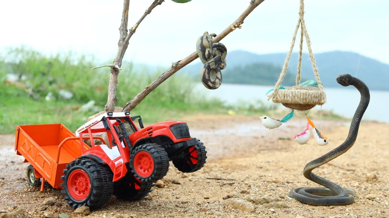 King Cobra And Rattle Snake Attack Birds Help By JCB | CS Toy