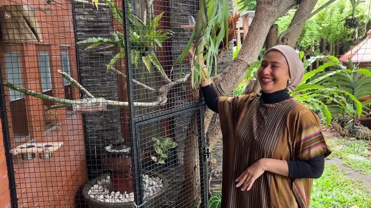 Aviary part 2