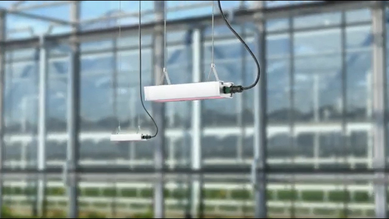 Wieland Electric RST&reg; with longitudinal sealing