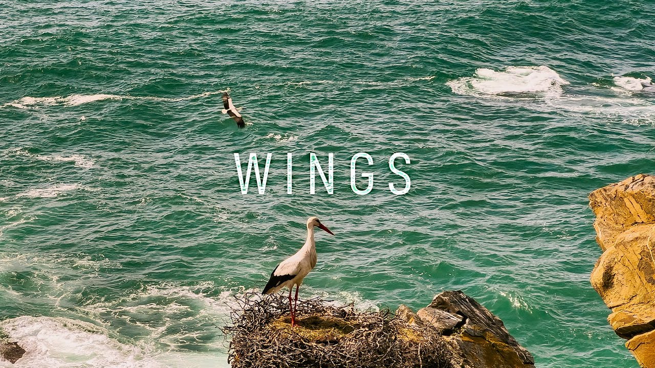 Wings | Romantic Orchestral Music | Rota Vicentina Portugal | ASKII