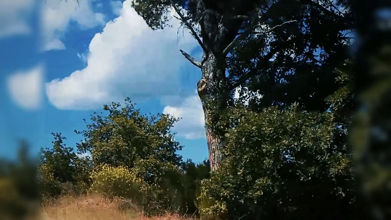 Quad tour Tuscany Adventures