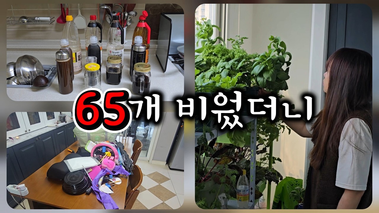 친구없는 40대...물건 버리다 취미가 생겼습니다!